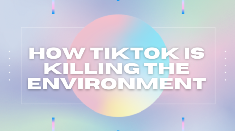 How TikTok Is Killing The Environment