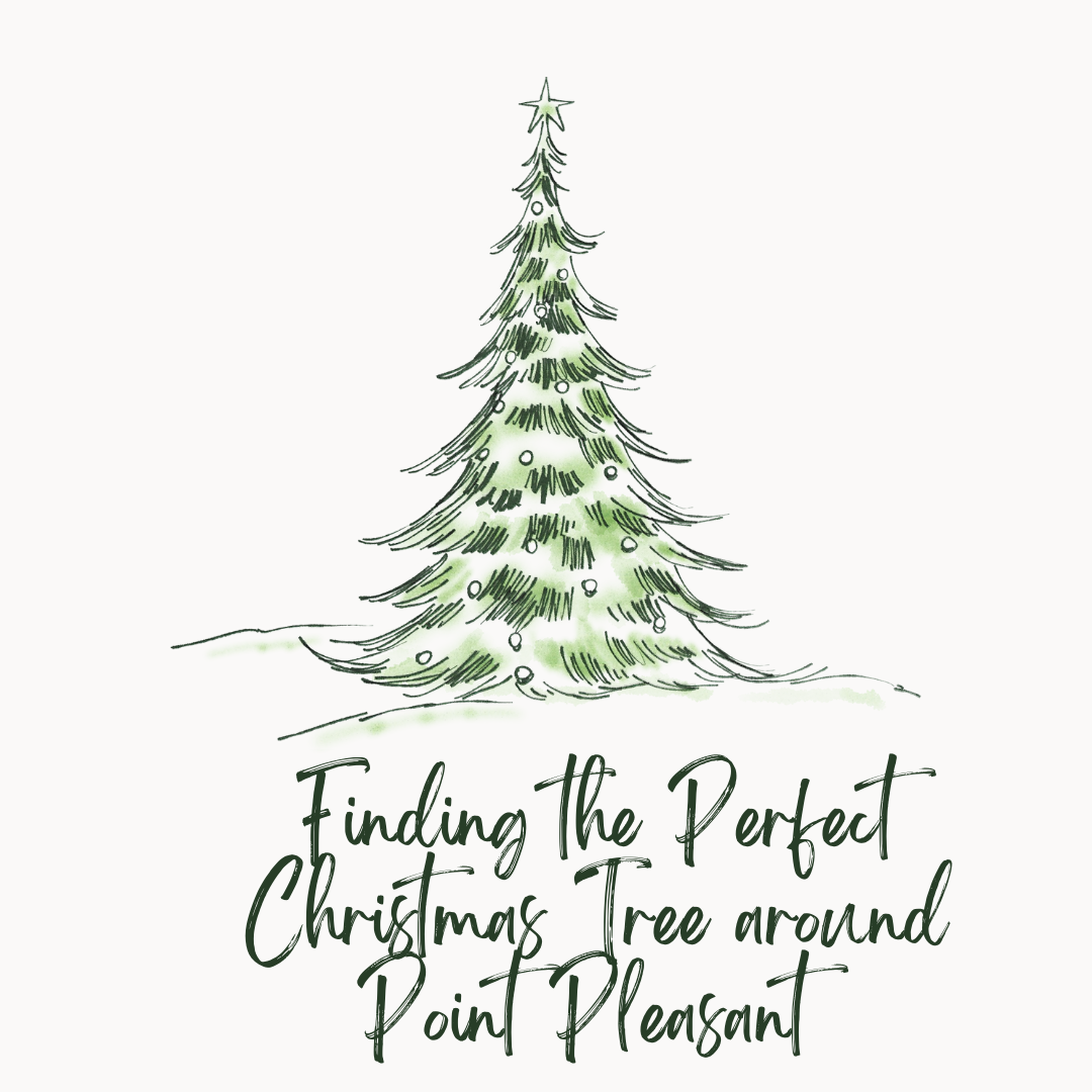 Finding the Perfect Tree in Point Pleasant