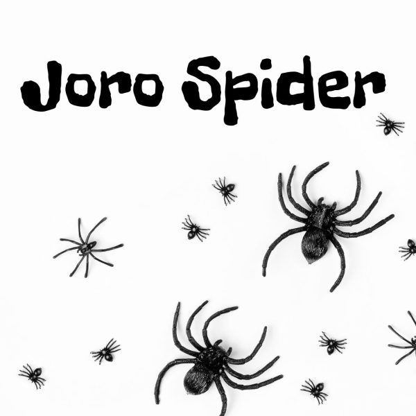 Joro Spider Comes to New Jersey