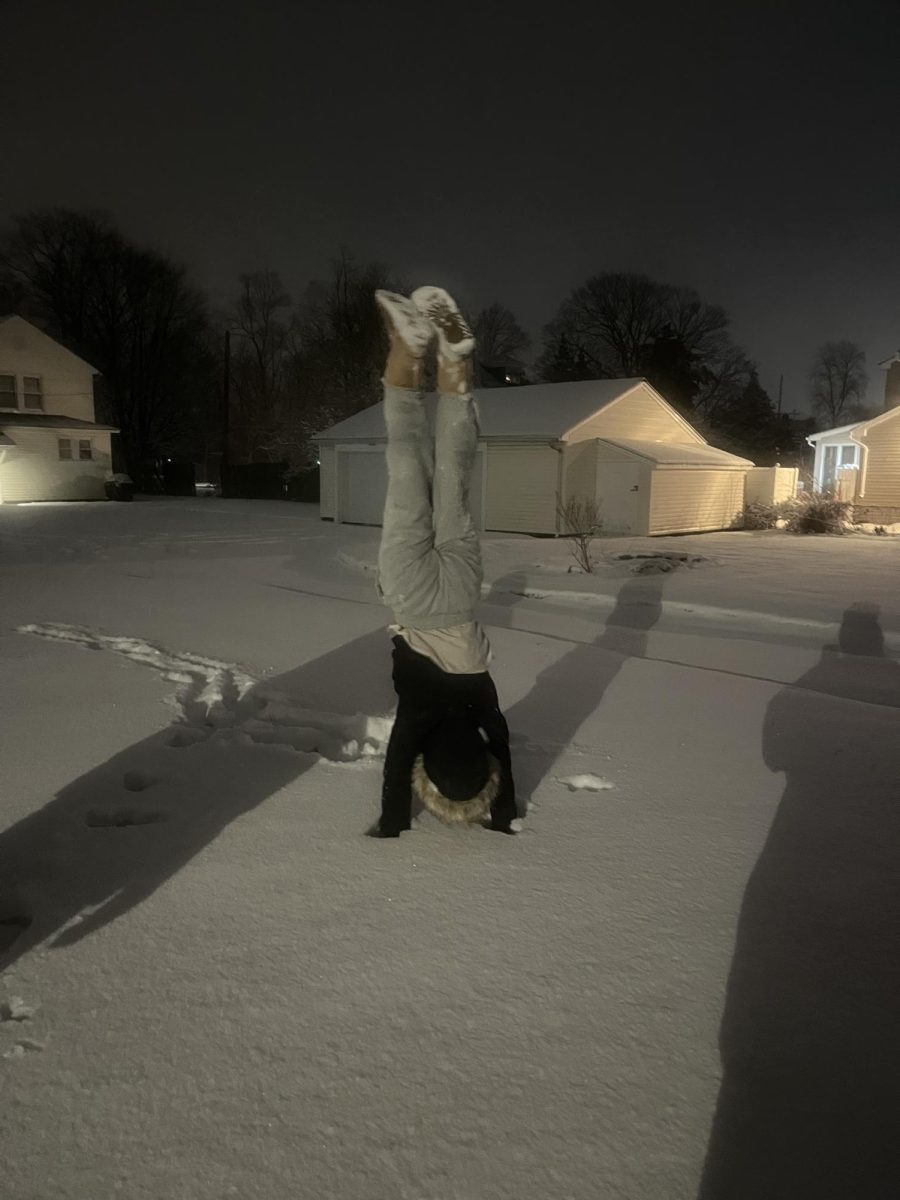Some fun handstands from the snowy day.