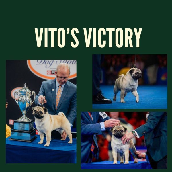 Vito's Victory